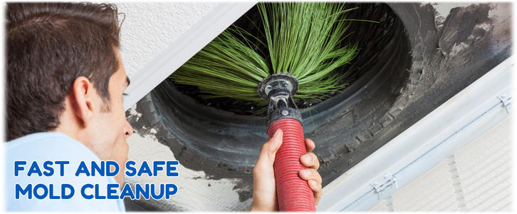 Air Duct Mold Removal in Scottsdale AZ